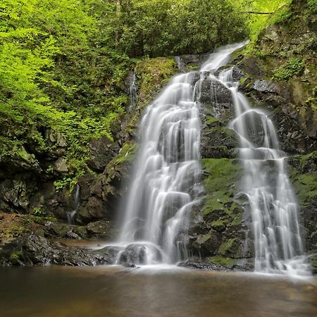 Four Bears Den, Hot Tub, 1089 Of Free Attraction Tickets For Each Paid Day, Dollywood And More Gatlinburg Exteriér fotografie
