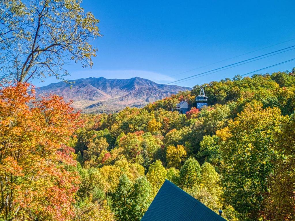 Four Bears Den, Hot Tub, 1089 Of Free Attraction Tickets For Each Paid Day, Dollywood And More Gatlinburg Exteriér fotografie