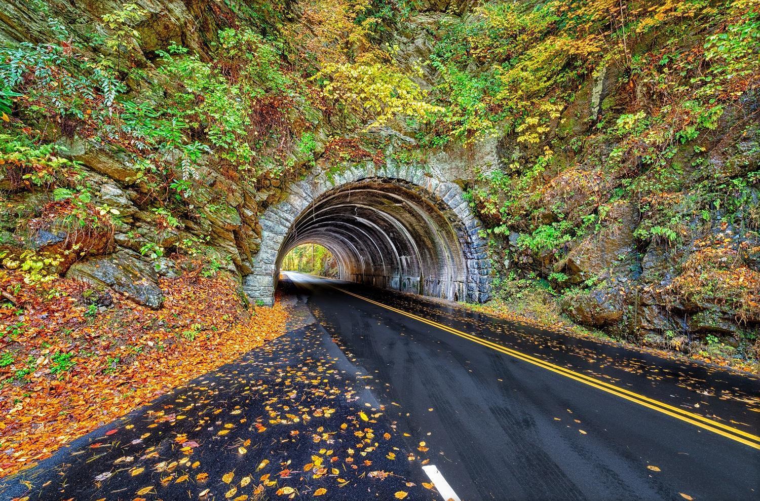 Four Bears Den, Hot Tub, 1089 Of Free Attraction Tickets For Each Paid Day, Dollywood And More Gatlinburg Exteriér fotografie